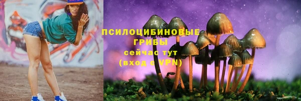 альфа пвп Армянск