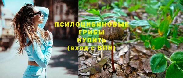 альфа пвп Армянск