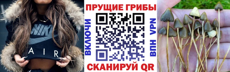 купить наркотик  Баксан  MEGA онион  Псилоцибиновые грибы мухоморы 